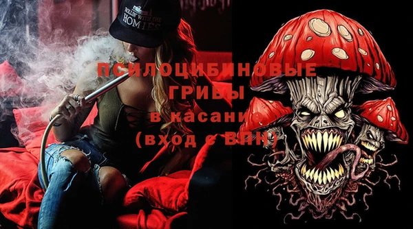 хмурый Медногорск
