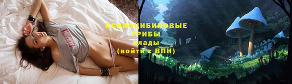 хмурый Медногорск