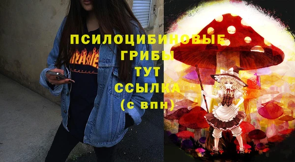хмурый Медногорск