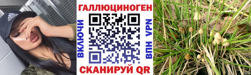 Купить  Кемерово  Псилоцибиновые грибы ЛСД 